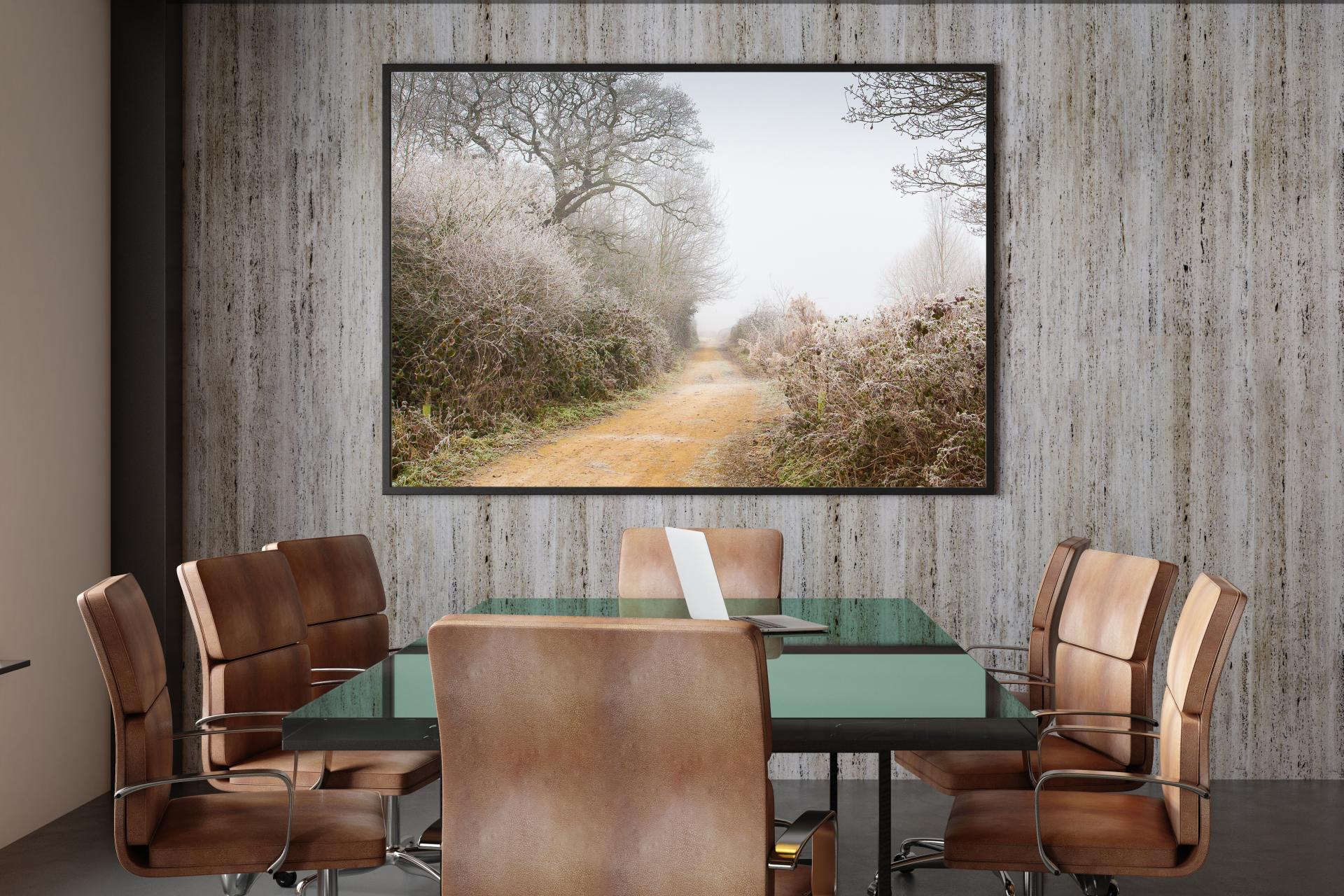 Winter scene at Belhus Woods, sandy colour path weaving through frost covered bushes and trees. Liane Ryan Photography