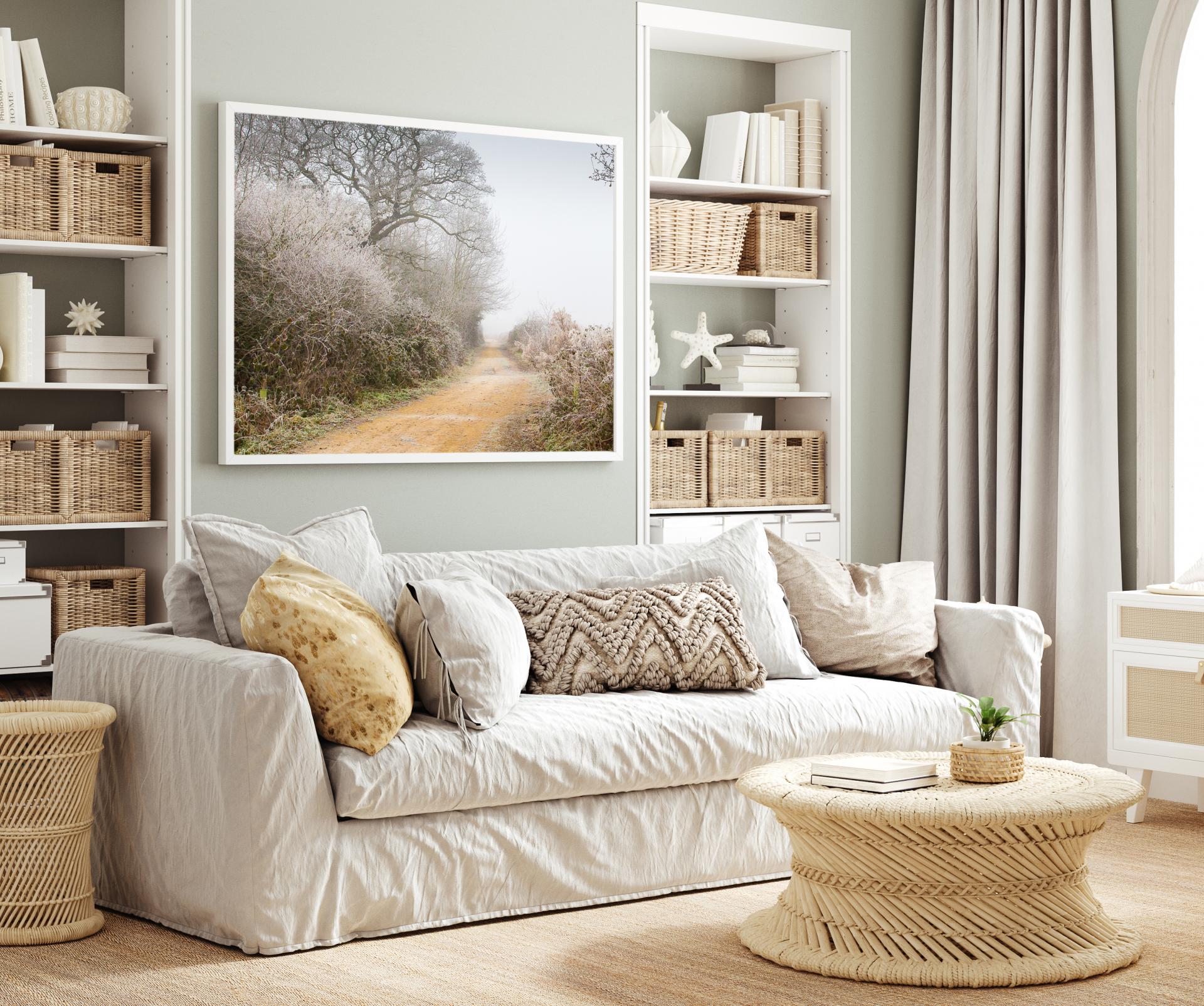 Frosty, foggy woodland scene with a path disappearing through frost covered bushes and trees. Liane Ryan Photography