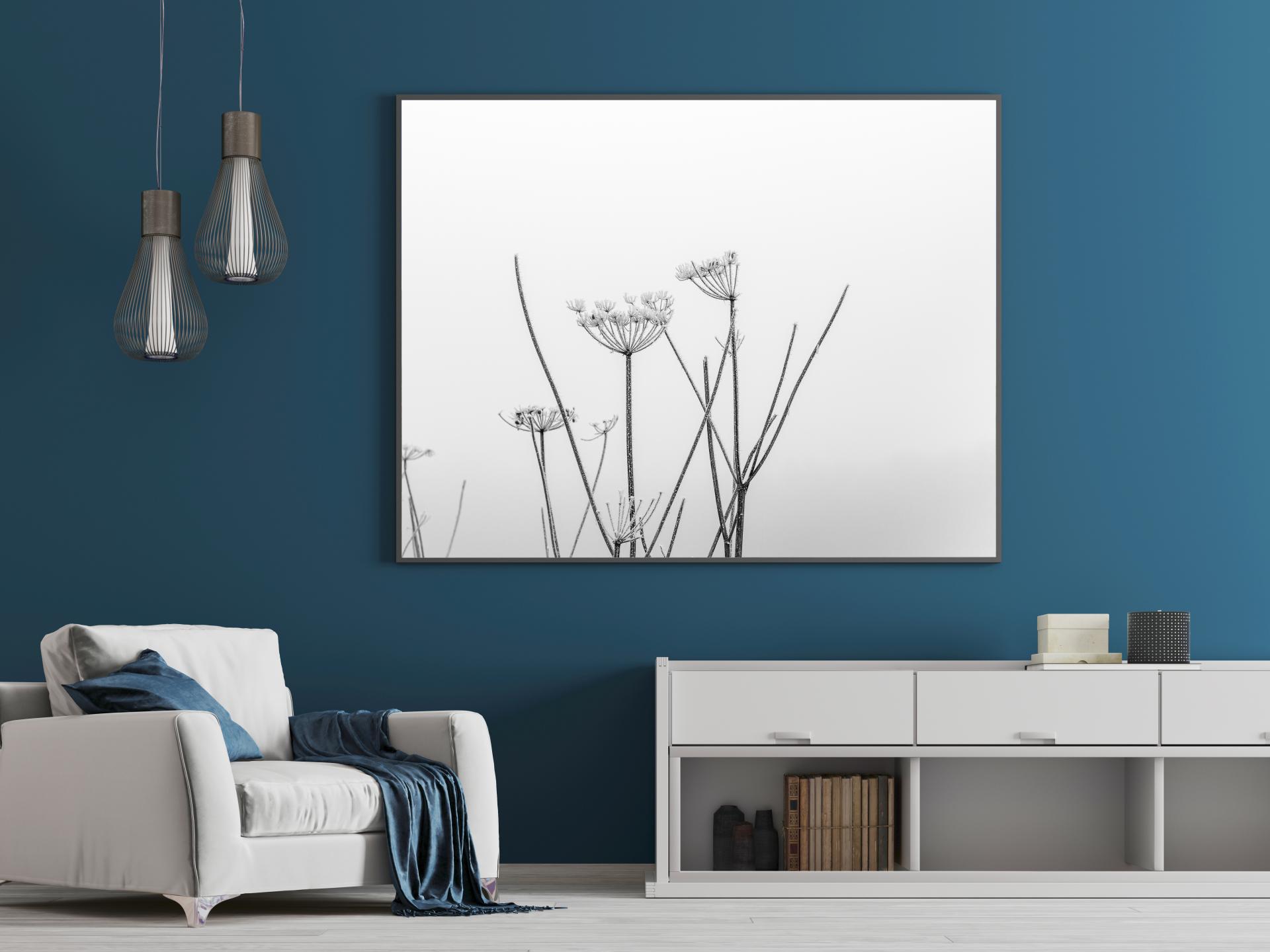 Frosted dark Foliage in the foreground with a foggy white background. Liane Ryan Photography