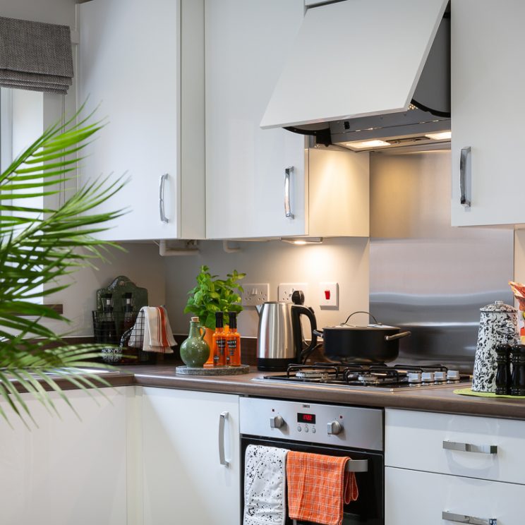 Show House Photography-117