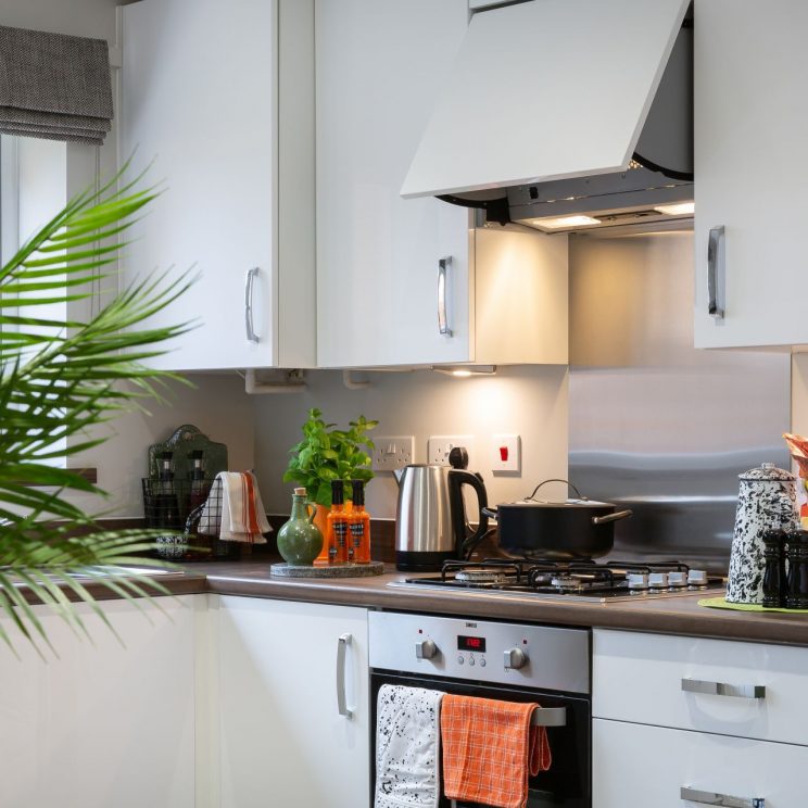 Show House Photography-23