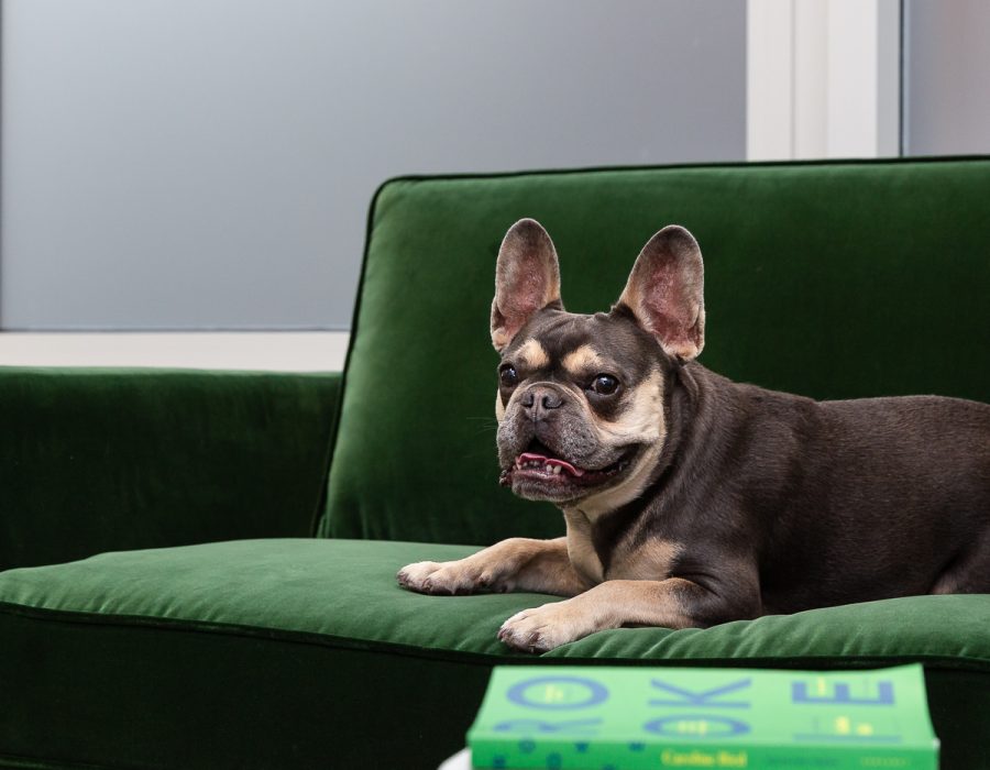 Lifestyle office Photography London, Liane Ryan Photography-10