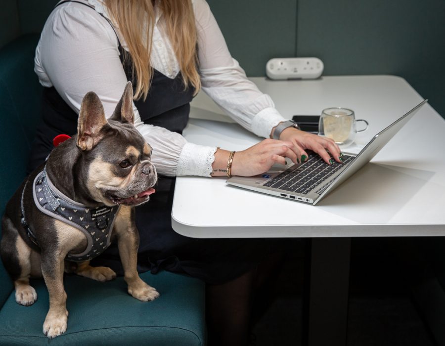 Lifestyle office Photography London, Liane Ryan Photography-13